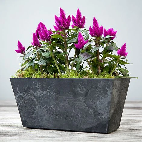 Balcony Trough Ella Black H17Cm D37Cm 2 Balcony Trough Ella Black H17Cm D37Cm - Image 2