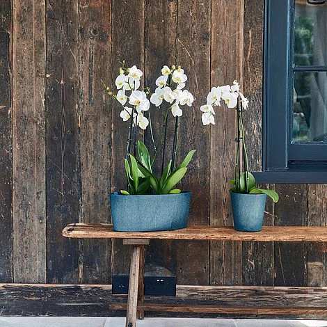 Pula Recylable Planter Sapphire H25Cm D24Cm 2 Pula Recylable Planter Sapphire H25Cm D24Cm - Image 2