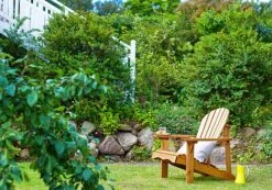 Single Chair Relax -Bloom Haven Herbaceous Perennials Deals Store 253160 02 10