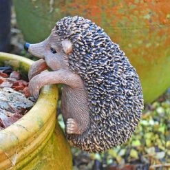 Pot Hanging Hedgehog Garden Ornament -Bloom Haven Herbaceous Perennials Deals Store 3438 MAIN201