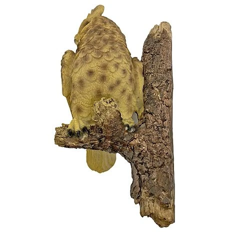 Wall Mountable Eagle Owl Bird On A Branch Garden Ornament 2 Wall Mountable Eagle Owl Bird On A Branch Garden Ornament - Image 2