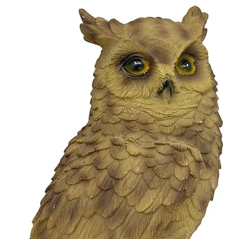 Wall Mountable Eagle Owl Bird On A Branch Garden Ornament 7 Wall Mountable Eagle Owl Bird On A Branch Garden Ornament - Image 7