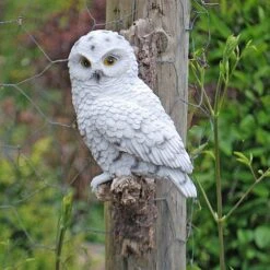 Wall Mountable Snowy Owl Bird On A Branch Garden Ornament -Bloom Haven Herbaceous Perennials Deals Store 3445 SNOW 5