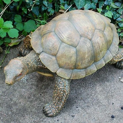 Large Tortoise Garden Animal Ornament 2 Large Tortoise Garden Animal Ornament - Image 2