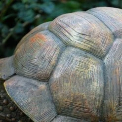 Large Tortoise Garden Animal Ornament 7 Large Tortoise Garden Animal Ornament -Bloom Haven Herbaceous Perennials Deals Store 3617 2