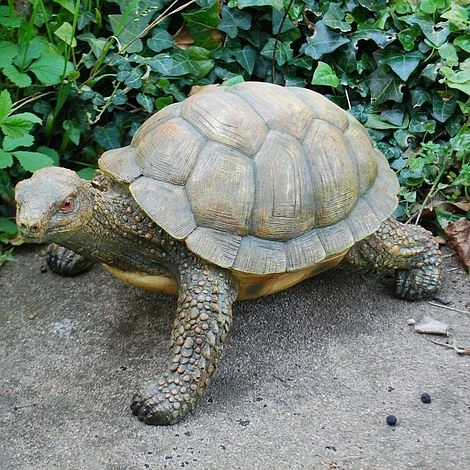 Large Tortoise Garden Animal Ornament 1 Large Tortoise Garden Animal Ornament
