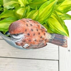 Large Sparrow Bird Garden Ornament -Bloom Haven Herbaceous Perennials Deals Store 3662L 10
