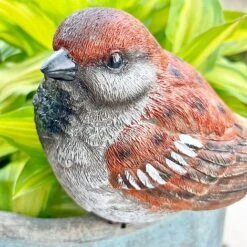 Large Sparrow Bird Garden Ornament -Bloom Haven Herbaceous Perennials Deals Store 3662L 6