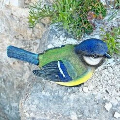 Large Blue Tit Bird Garden Ornament -Bloom Haven Herbaceous Perennials Deals Store 3663L 5
