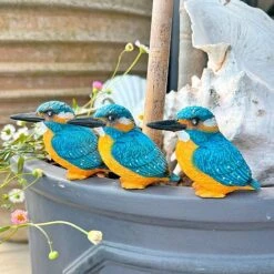 3 Pot Topping Kingfisher Bird Garden Ornaments -Bloom Haven Herbaceous Perennials Deals Store 3710 11