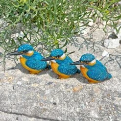 3 Pot Topping Kingfisher Bird Garden Ornaments -Bloom Haven Herbaceous Perennials Deals Store 3710 7