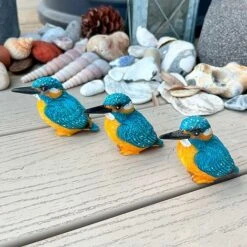 3 Pot Topping Kingfisher Bird Garden Ornaments -Bloom Haven Herbaceous Perennials Deals Store 3710 9