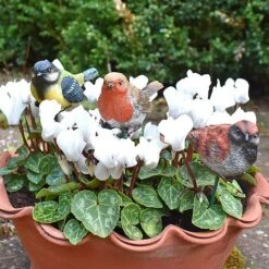 3 Garden Birds On Sticks Outdoor Ornaments 9 3 Garden Birds On Sticks Outdoor Ornaments -Bloom Haven Herbaceous Perennials Deals Store 3714 4