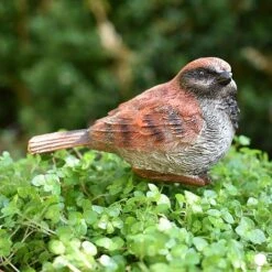 3 Garden Birds On Sticks Outdoor Ornaments 11 3 Garden Birds On Sticks Outdoor Ornaments -Bloom Haven Herbaceous Perennials Deals Store 3714 9