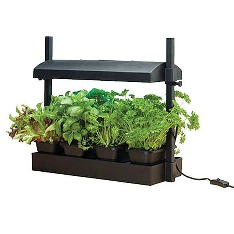Grow Light Garden (Black) 1 Grow Light Garden (Black)