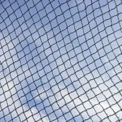 Butterfly Protection Cage 11 Butterfly Protection Cage -Bloom Haven Herbaceous Perennials Deals Store 784011A