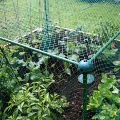 Butterfly Protection Cage 14 Butterfly Protection Cage -Bloom Haven Herbaceous Perennials Deals Store 784027A