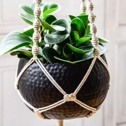 Hammered Bowl Black/Copper 19Cm 6 Hammered Bowl Black/Copper 19Cm -Bloom Haven Herbaceous Perennials Deals Store AC19B 2