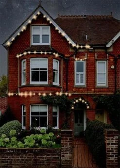 Idooka LED Christmas String Light White Multicolour 1000 1200 1500 20-30 M Outdoor Plug -Bloom Haven Herbaceous Perennials Deals Store AX8905160.House