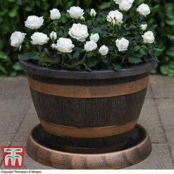 Wooden Barrel Effect Pot & Saucer 8 Wooden Barrel Effect Pot & Saucer -Bloom Haven Herbaceous Perennials Deals Store BARR KA8437 C