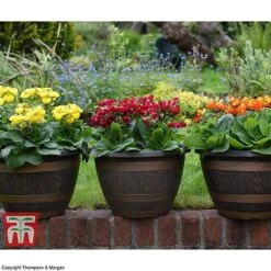 Wooden Barrel Effect Pot & Saucer 10 Wooden Barrel Effect Pot & Saucer -Bloom Haven Herbaceous Perennials Deals Store BARR POT B1