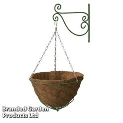 Large Hanging Basket Kits -Bloom Haven Herbaceous Perennials Deals Store BASK LARGEGREE A