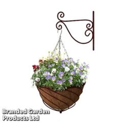 Large Hanging Basket Kits -Bloom Haven Herbaceous Perennials Deals Store BASK LARGEWINE B
