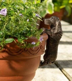 Antique Bronze Coloured Basset Hound Pot Buddy - Pot Hanger -Bloom Haven Herbaceous Perennials Deals Store BASSETT20 20320 20PB0032
