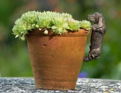 Antique Bronze Coloured Basset Hound Pot Buddy - Pot Hanger -Bloom Haven Herbaceous Perennials Deals Store BASSETT20 20620 20PB0032