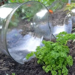 Glass Bell Cloche -Bloom Haven Herbaceous Perennials Deals Store BC6 5036