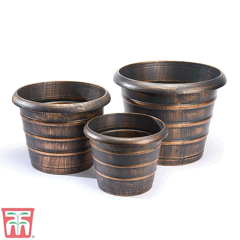 Beehive Planters - Pack Of 3 2 Beehive Planters - Pack Of 3 - Image 2