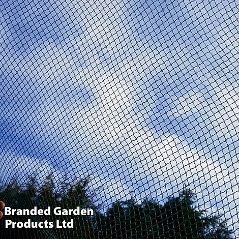 No Frills Cage 7mm Butterfly Net 1 No Frills Cage 7mm Butterfly Net