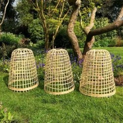 Bamboo Bell Cloche & Garden Plant Protection Cover - Medium -Bloom Haven Herbaceous Perennials Deals Store Bamboo20Cloche20pk203201000x100020942kb1