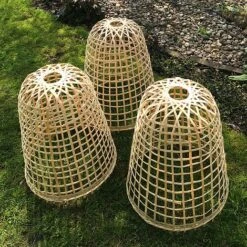 Bamboo Bell Cloche & Garden Plant Protection Cover - Small -Bloom Haven Herbaceous Perennials Deals Store Bamboo20Cloche20pk203201000x100020992kb1