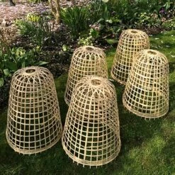 Bamboo Bell Cloche & Garden Plant Protection Cover - Large -Bloom Haven Herbaceous Perennials Deals Store Bamboo20Cloche20pk205201000x100020916kb