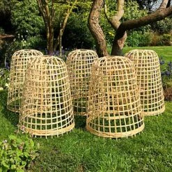 Bamboo Bell Cloche & Garden Plant Protection Cover - Large -Bloom Haven Herbaceous Perennials Deals Store Bamboo20Cloche20pk205201000x100020945kb