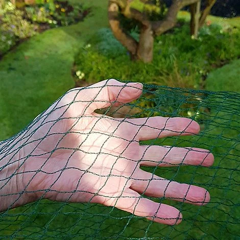 Bird Block Soft Bird Mesh Netting For Fruit Veg & Plants - 6m Wide 2 Bird Block Soft Bird Mesh Netting For Fruit Veg & Plants - 6m Wide - Image 2