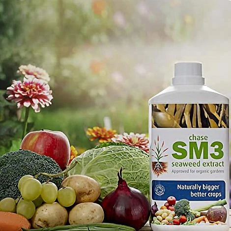SM3 Seaweed Extract 1 Litre 2 SM3 Seaweed Extract 1 Litre - Image 2