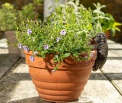 Antique Bronze Coloured Cockapoo Pot Buddy - Pot Hanger -Bloom Haven Herbaceous Perennials Deals Store COCKAPOO20 20720 20PB0024