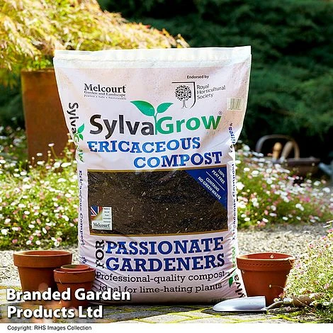 Ericaceous Compost 1 Ericaceous Compost