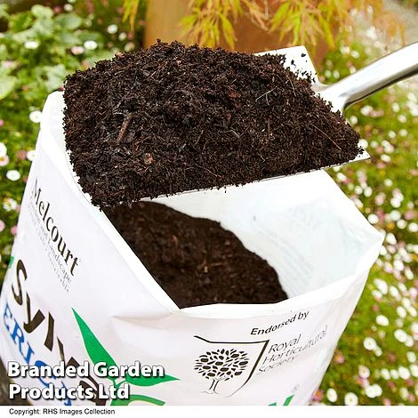 Ericaceous Compost 2 Ericaceous Compost - Image 2