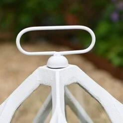 Cast Iron Bell Cloche 8 Cast Iron Bell Cloche -Bloom Haven Herbaceous Perennials Deals Store Cast iron cloche 0342