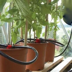 Mighty Dripper -Bloom Haven Herbaceous Perennials Deals Store D3659 44DBF4D4 0107 1176 748C8000EA649075