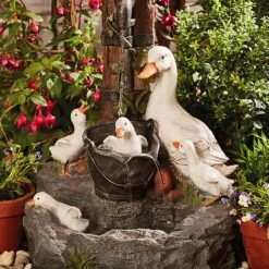 Duck Fountain 8 Duck Fountain -Bloom Haven Herbaceous Perennials Deals Store D9662 1000x1000 LS 3
