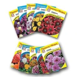 Seed Collection Tin - Gift 11 Seed Collection Tin - Gift -Bloom Haven Herbaceous Perennials Deals Store FLOW T45153P A h1