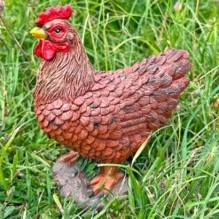 Pair Of Garden Chicken Ornaments 14 Pair Of Garden Chicken Ornaments -Bloom Haven Herbaceous Perennials Deals Store FW1006 12