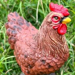 Pair Of Garden Chicken Ornaments 16 Pair Of Garden Chicken Ornaments -Bloom Haven Herbaceous Perennials Deals Store FW1006 8