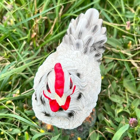 Chicken Garden Ornaments 8 Chicken Garden Ornaments - Image 8