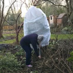 Ultimate Protection 50GSM Frost Fleece Plant Jacket - 1.6m Wide X 2m High -Bloom Haven Herbaceous Perennials Deals Store Fleece20Cover201000x100020858kb2