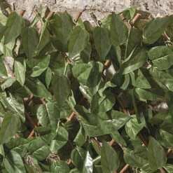 Expandable Artificial Ivy Hedge Trellis -Bloom Haven Herbaceous Perennials Deals Store G1041 3 1000x1000 1